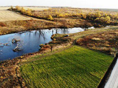 Васильково VIP