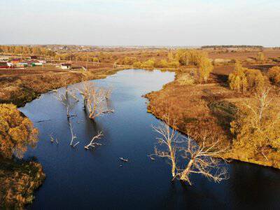 Васильково VIP