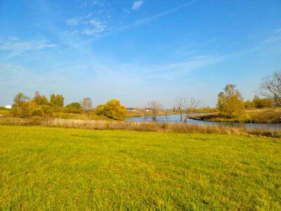 Васильково VIP