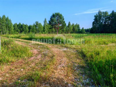 Пашково Эко