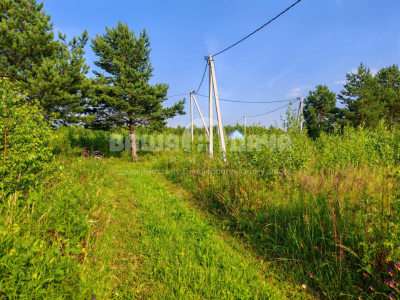 Пашково Эко