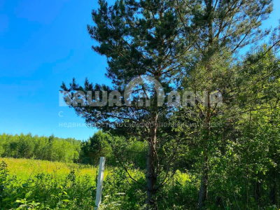 Пашково Эко