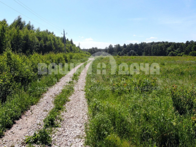 Пашково Эко