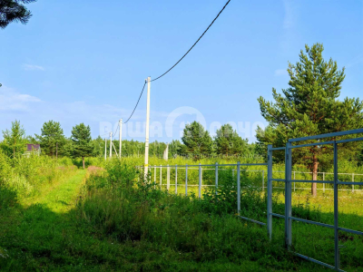 Пашково Эко