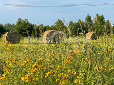 Пашково Эко