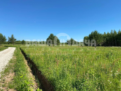 Пашково Эко