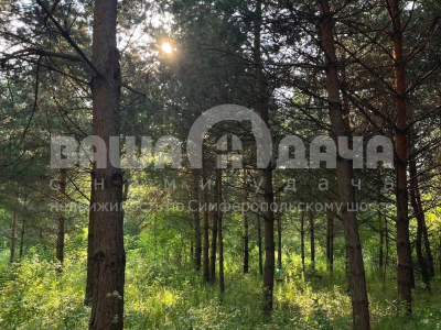 Пашково Эко