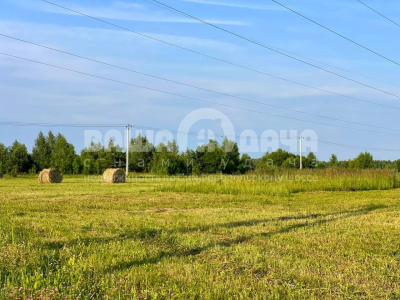 Пашково Эко