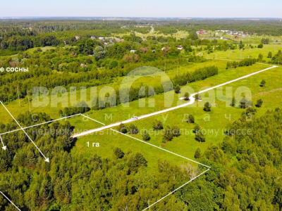 Пашково Эко