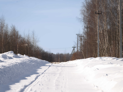 Горохово Эко