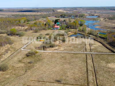 Горохово Эко