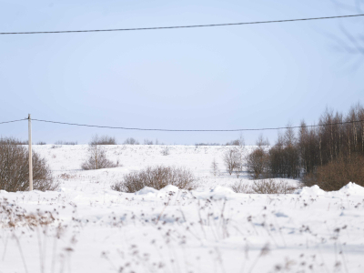 Горохово Эко