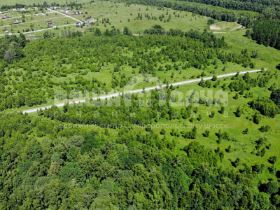 Домнино Эко