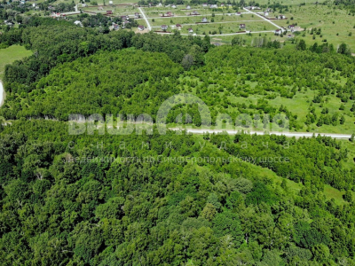 Домнино Эко