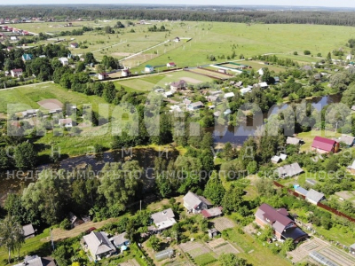 Домнино Эко