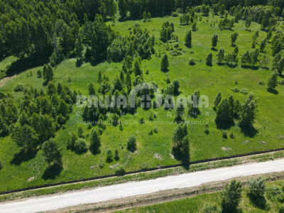 Домнино Эко