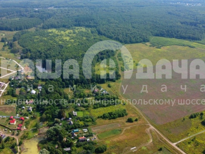 Домнино Эко