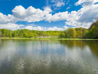 Дубрава Удач