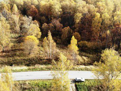 Земляничное