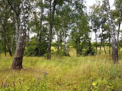 Земляничное