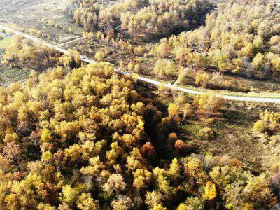 Земляничное