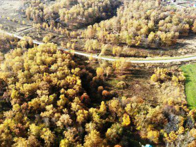 Земляничное