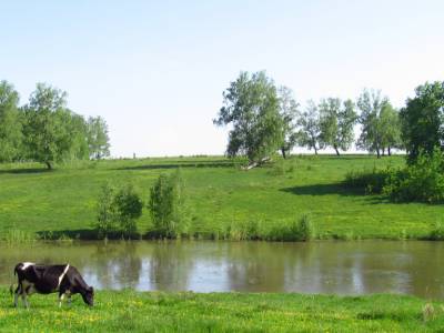 Земляничное