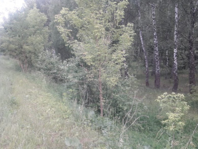 Знаменский Гектар