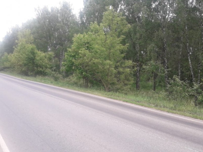 Знаменский Гектар