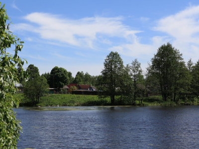 Новосёлковский Гектар