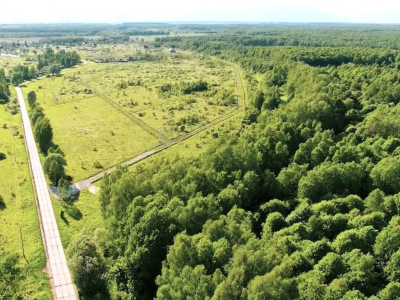 Новосёлковский Гектар