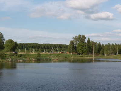 Новосёлковский Гектар