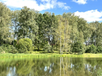 Шеверняево