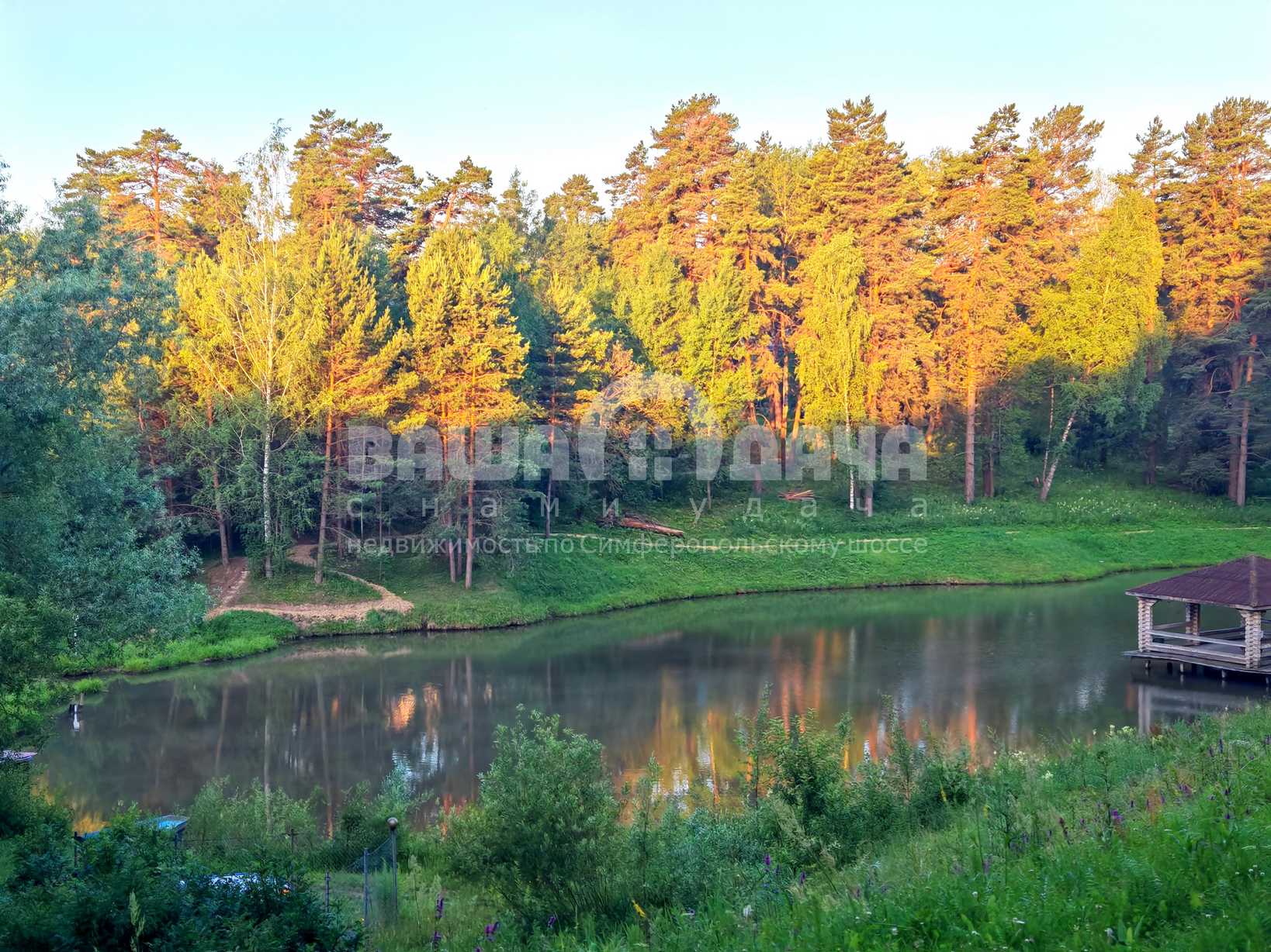 Берег пруда