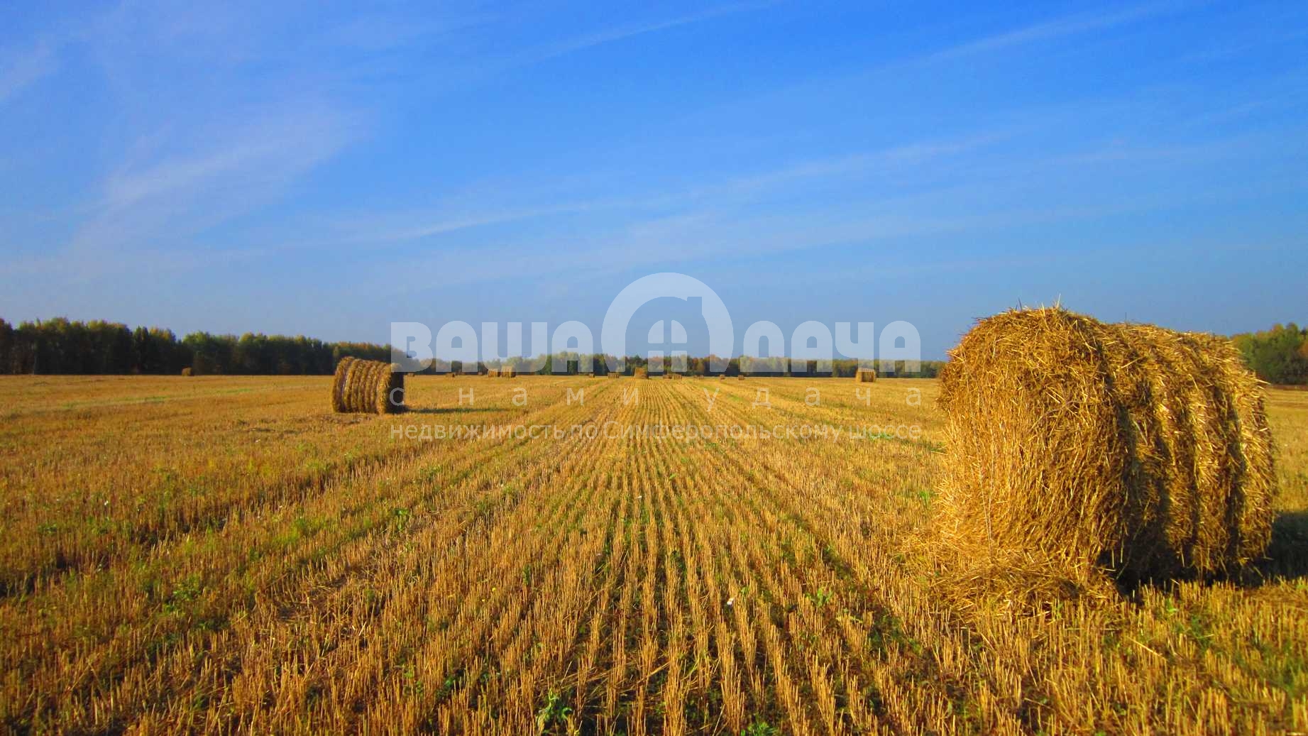 Луг в Домнино Эко