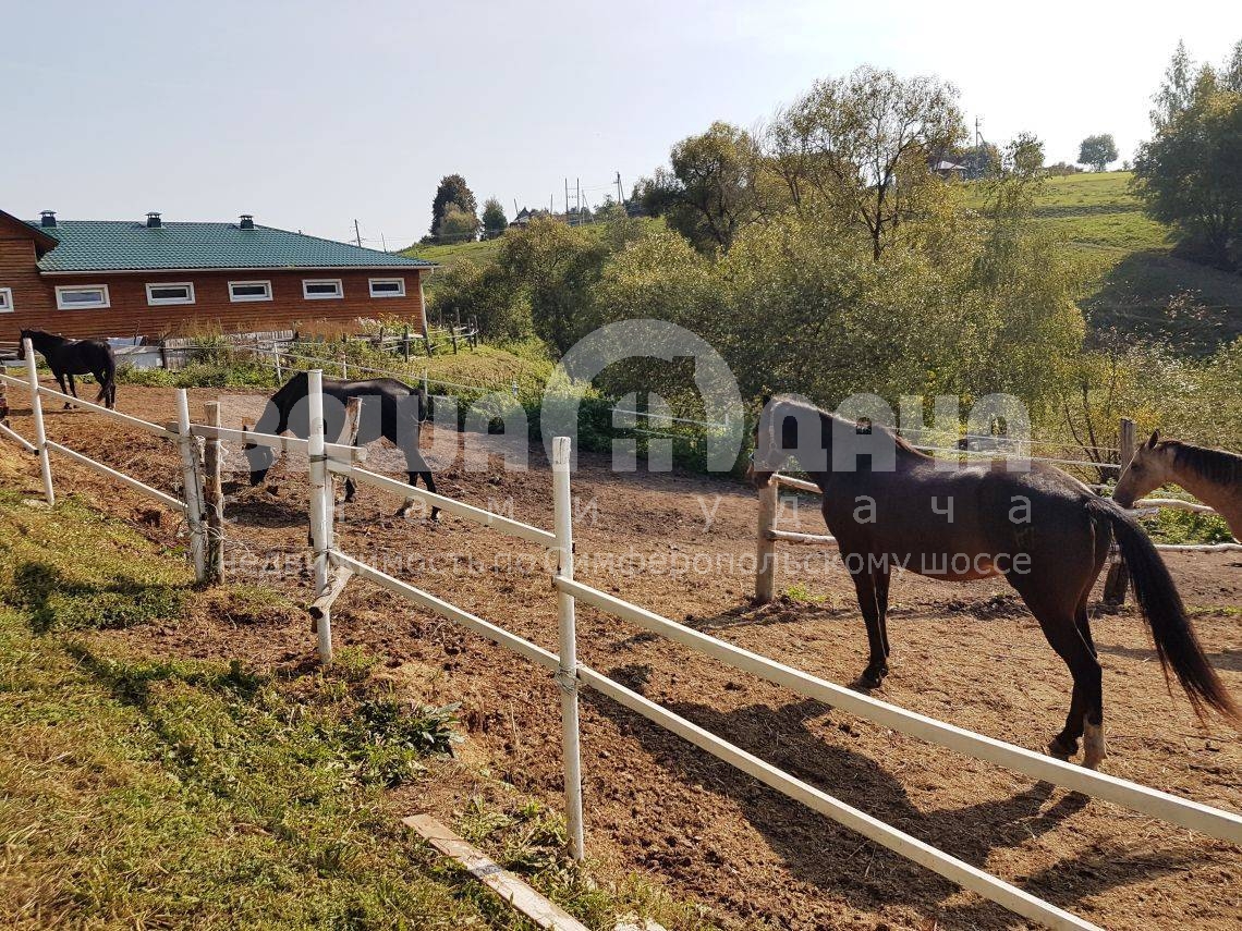 Конный клуб Скрипово