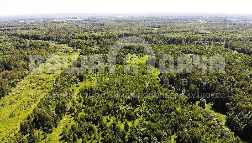 Лес в Скрипово