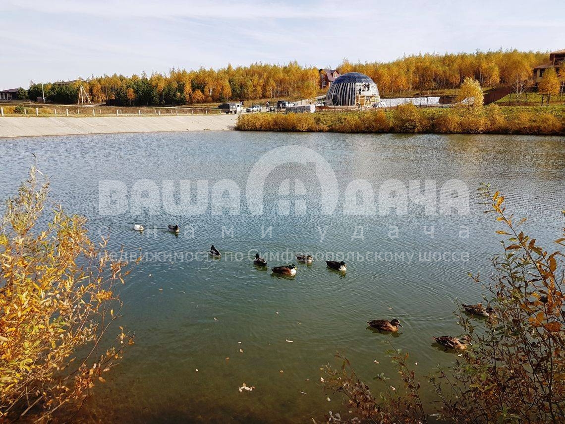 Пруд Скрипово